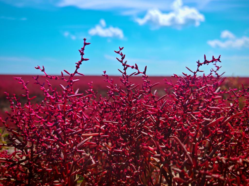 ����ɽ�������������й�ح��̲��έ Ÿ����ɣ��ػ����ߵġ���Ȼ�������