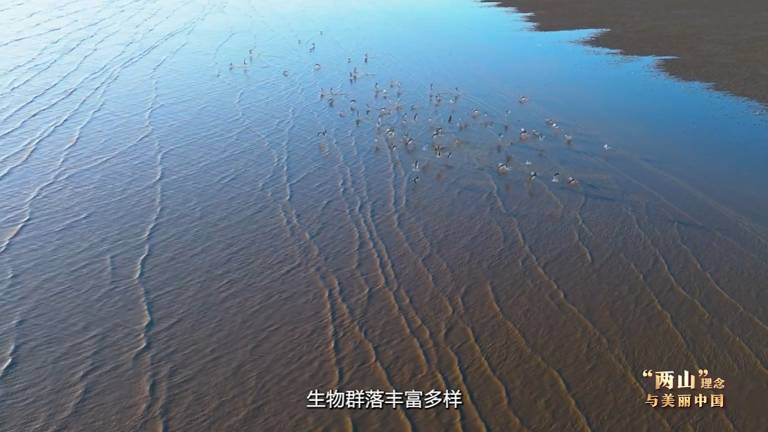 ����ɽ�������������й�ح��̲��έ Ÿ����ɣ��ػ����ߵġ���Ȼ�������