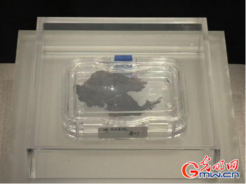 ��������������ح�Ӻ������ڿ������ľ�ʢ��