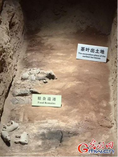 ��������������ح�Ӻ������ڿ������ľ�ʢ��