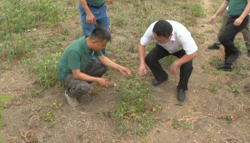 ������ɫ����ح�й�����Ϊ�չ������������������������������ʵ�ľ���ۡ�