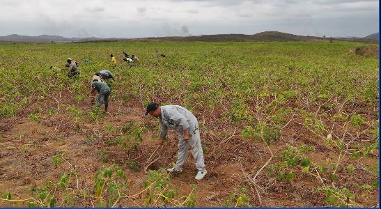 ������ɫ����ح�й�����Ϊ�չ������������������������������ʵ�ľ���ۡ�