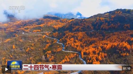 文化中国行丨二十四节气·寒露 白云红叶 菊有黄华