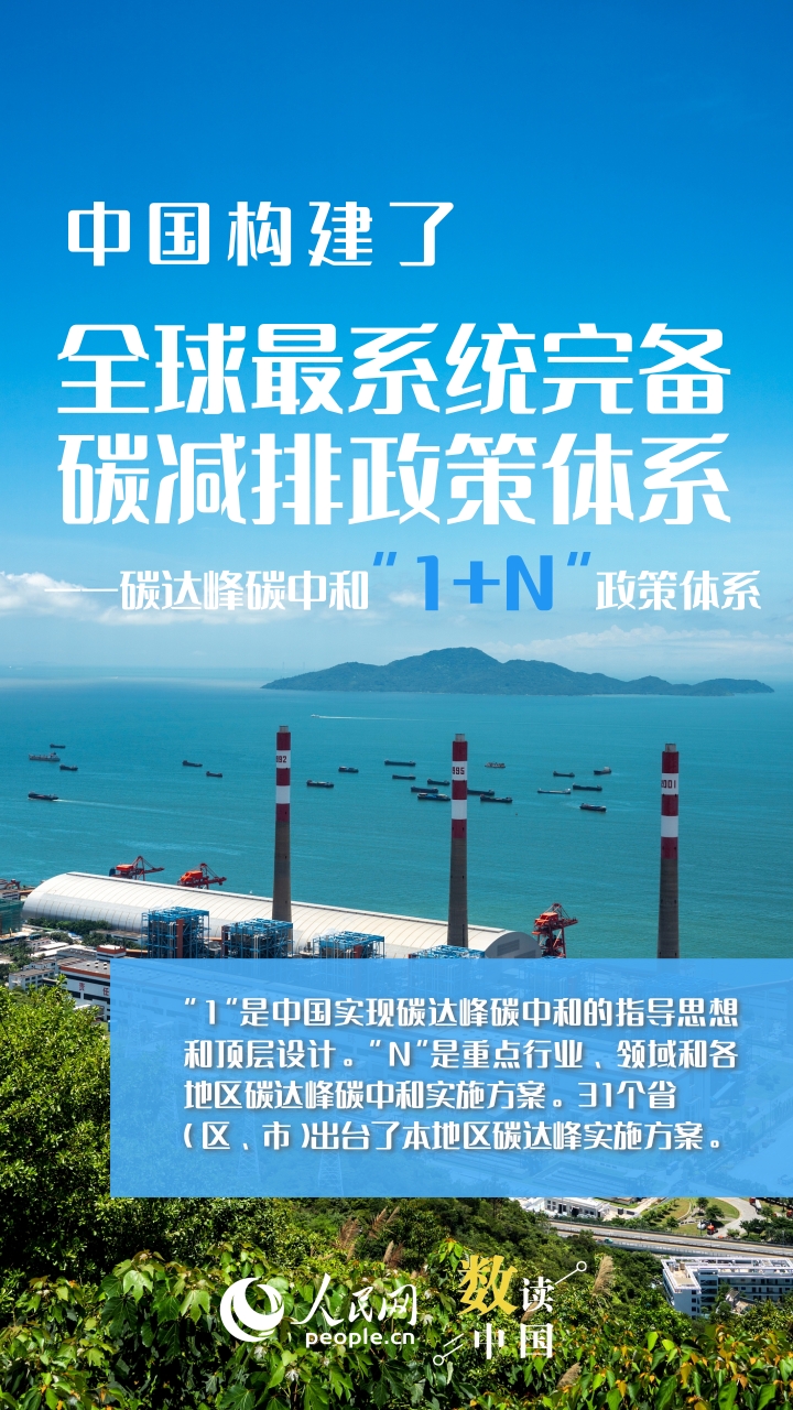 看这抹绿何以赏“新”又悦目