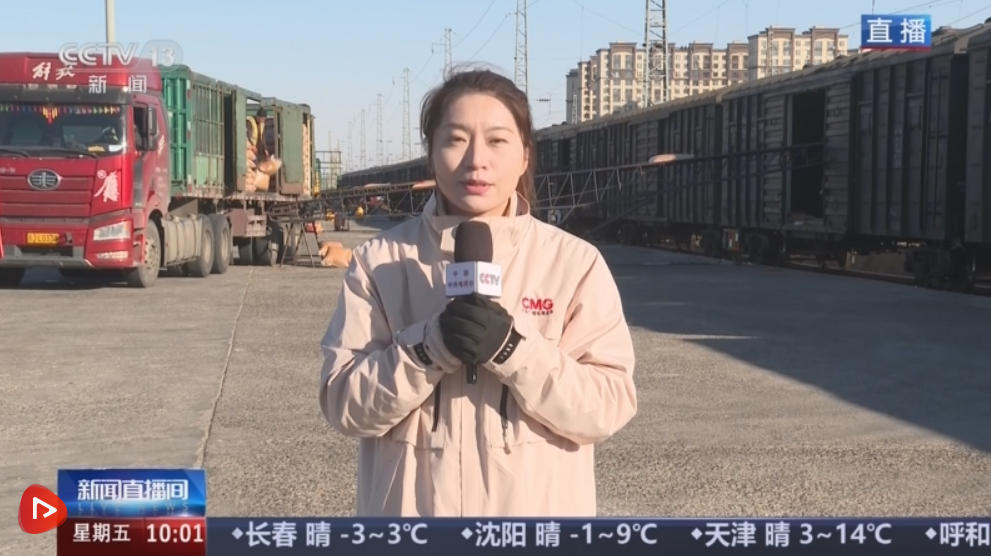 “铁海联运”“黄金水道”按下秋粮运输“加速键” 为全国粮食安全筑牢坚实屏障