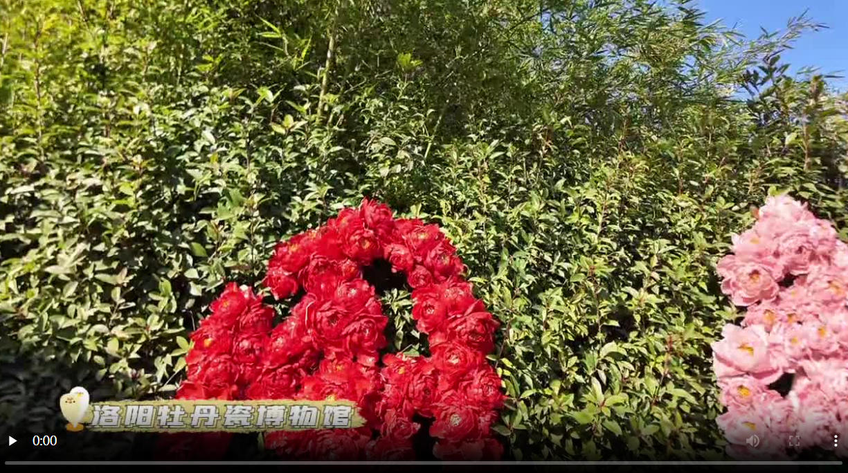 【2025打卡中国】瓷韵绽千年——感受中式美学的不朽力量