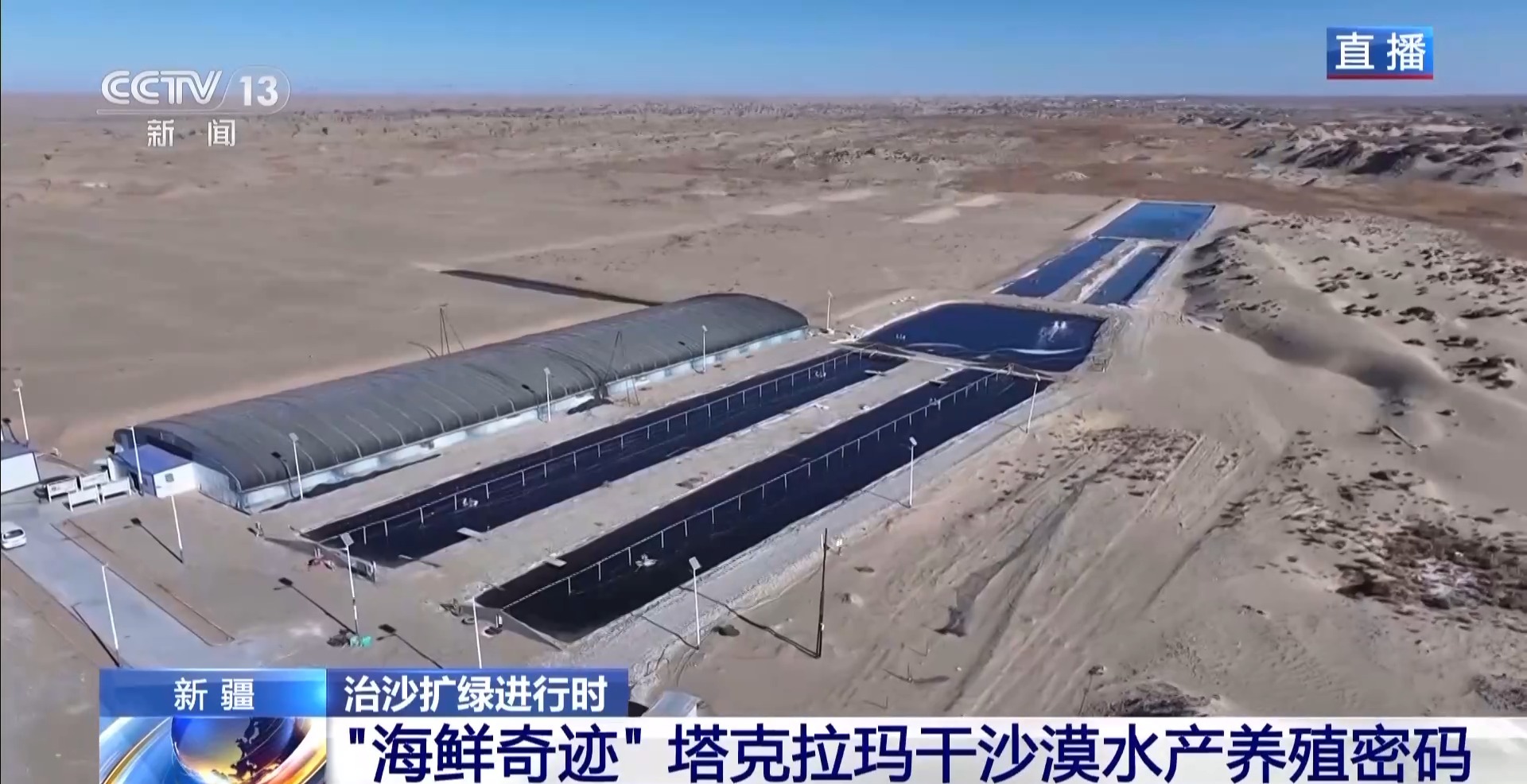 沙漠里如何养海鲜？解锁塔克拉玛干沙漠的水产养殖密码