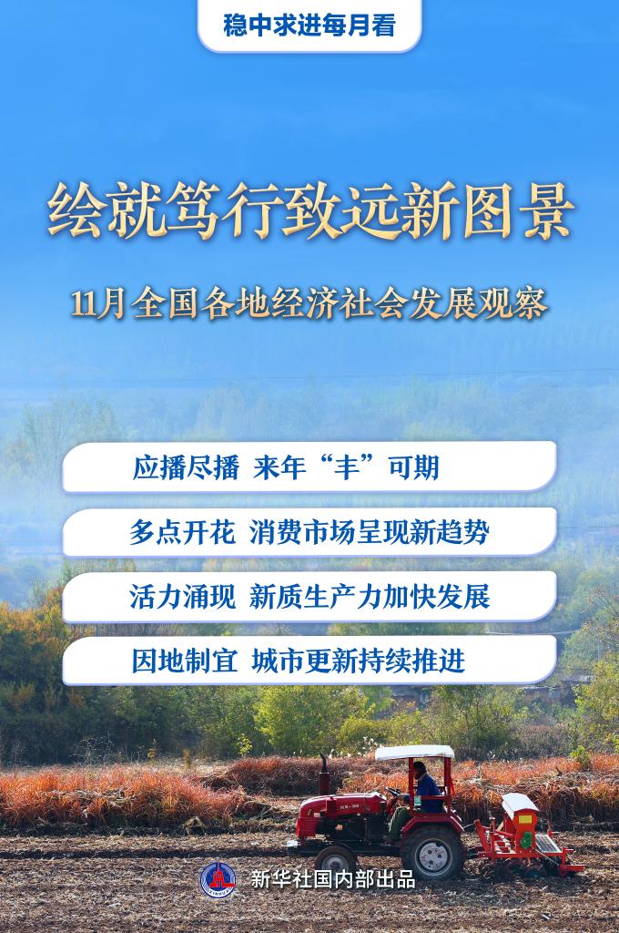 稳中求进每月看丨绘就笃行致远新图景——11月全国各地经济社会发展观察
