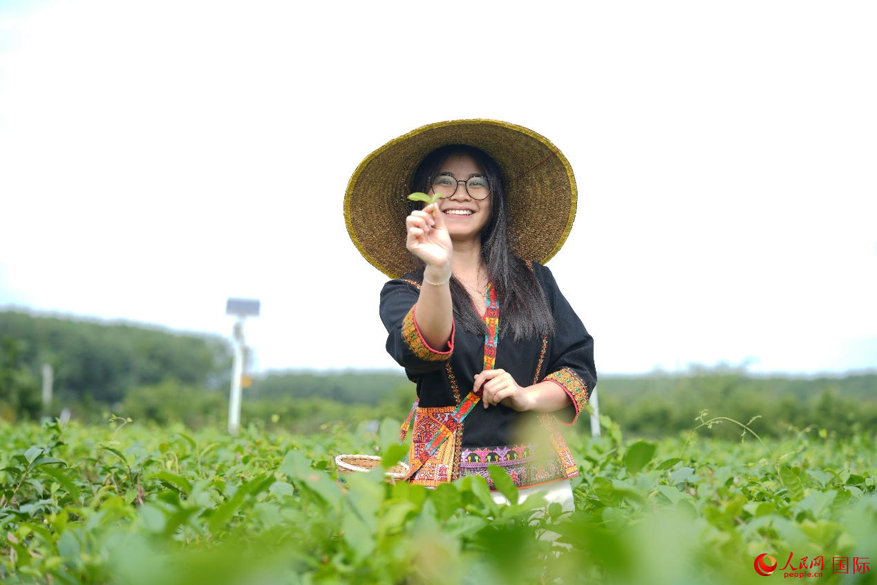 “封关”是为了更高水平的“开放”