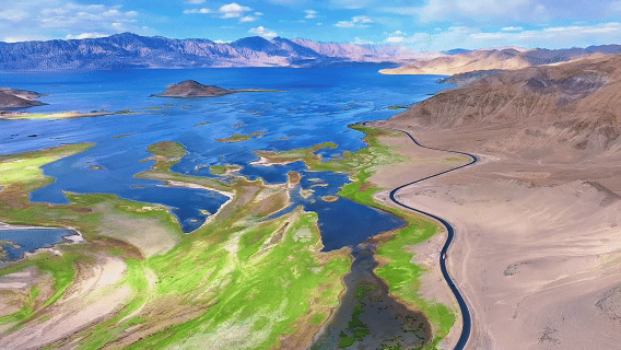 “高冷”经济看发展｜绿意攀高！海拔4000米之上的绿色革命