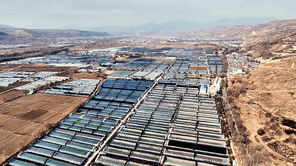 “高冷”经济看发展丨鲜行千里！高原冷凉蔬菜端上粤港澳餐桌