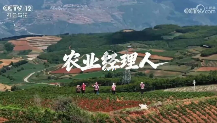 《新职业炫季》｜农业经理人：跨界高手扎根田野，乡村振兴里的职业新机遇