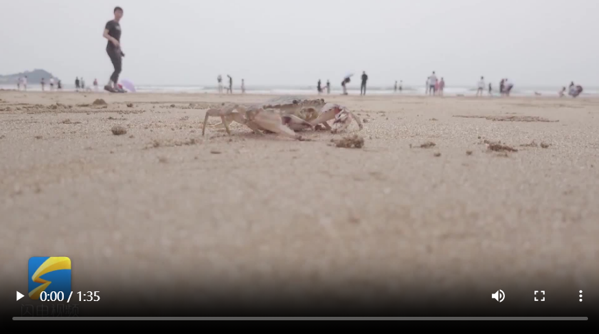 青春华章 向海图强｜蟹壳里的大产业：变废为宝，山东用蟹壳打造产业高端局