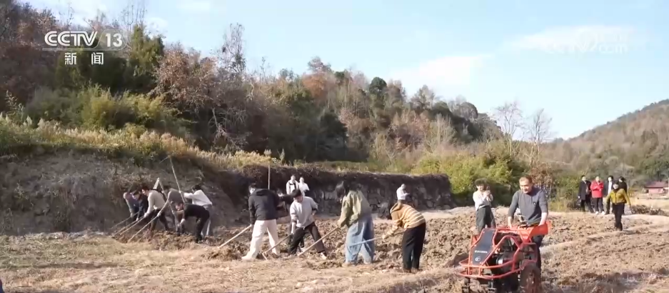 让“闲田”变“忙田” 农村创业新力量让冬日乡村“火”起来