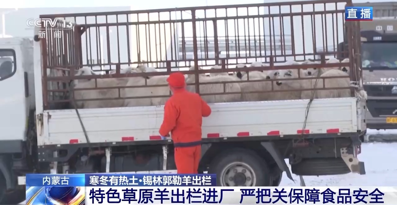 一只羊能有超170种产品！看草原美味如何撬动消费大市场