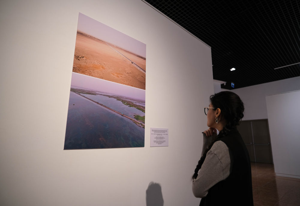 中外交流丨镜头下的沙海新绿——从图片展上的照片看新疆带给世界的治沙灵感