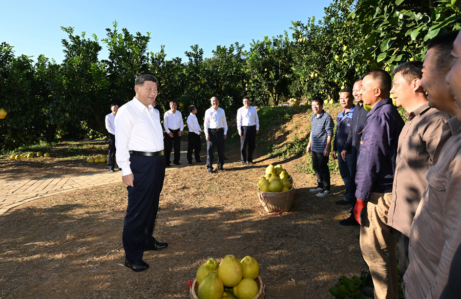 2025��11��7�գ�ϰ��ƽ�������÷����÷�����������ϸ�������ֲ���ؿ���ʱ��ͬ��ũ��ũ����Ա���н�����