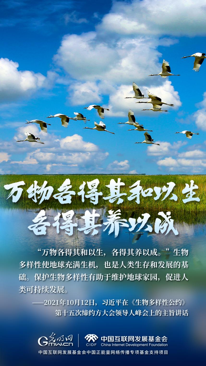 ����ɽ�������������й�حʪ�������һ���������������