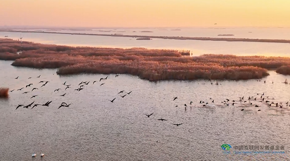 ����ɽ�������������й�حʪ�������һ���������������