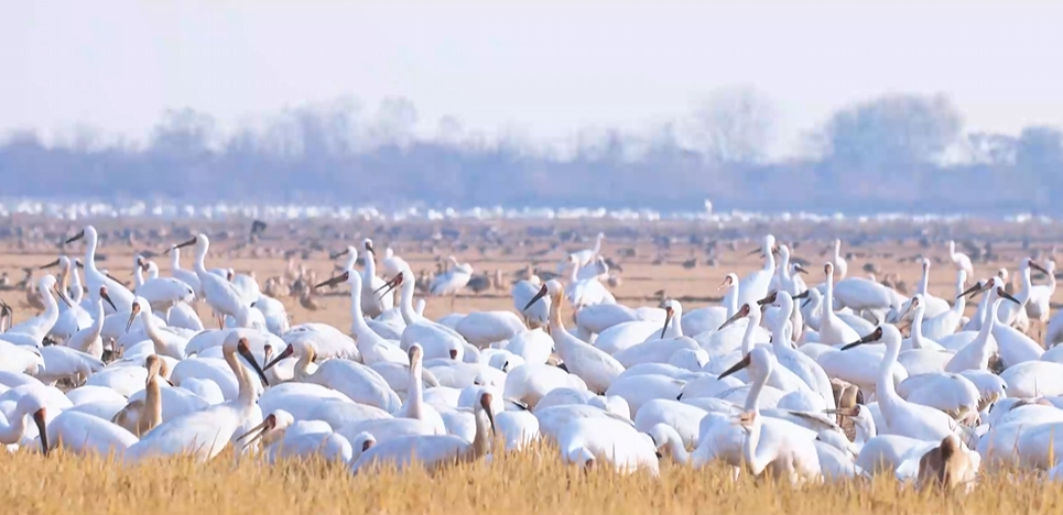 ����ɽ�������������й�حʪ�������һ���������������