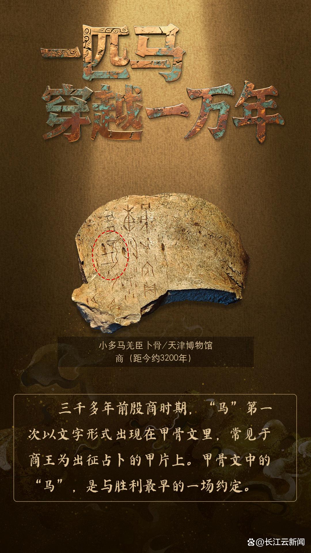 �����й���һƥ����Խ��һ����