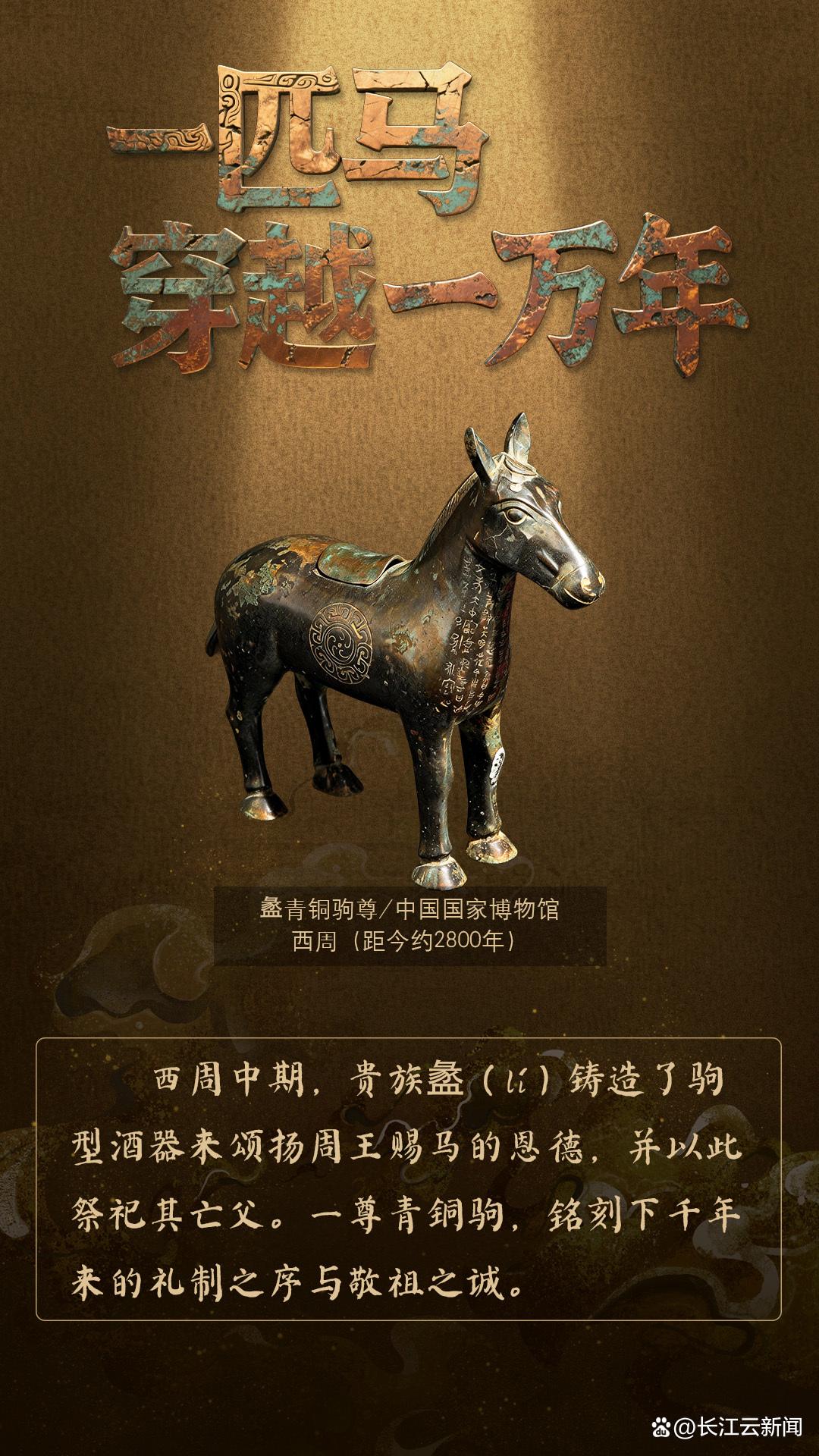 �����й���һƥ����Խ��һ����