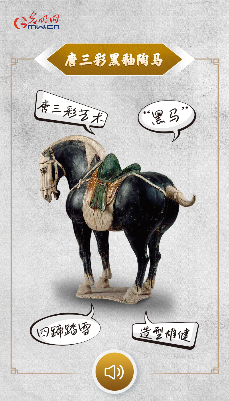 �������˵���������������������пա������������Ⲩ������ֵ����������