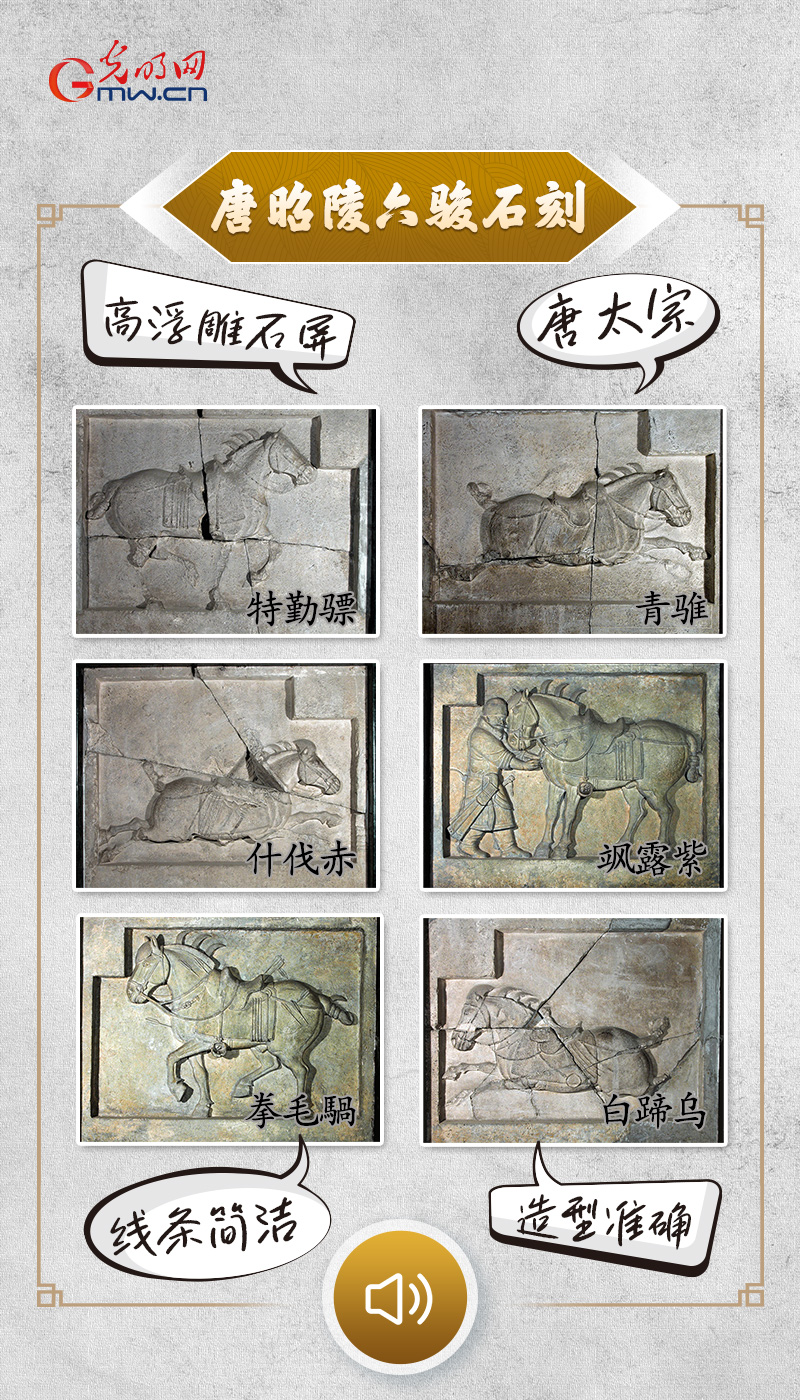 �������˵���������������������пա������������Ⲩ������ֵ����������