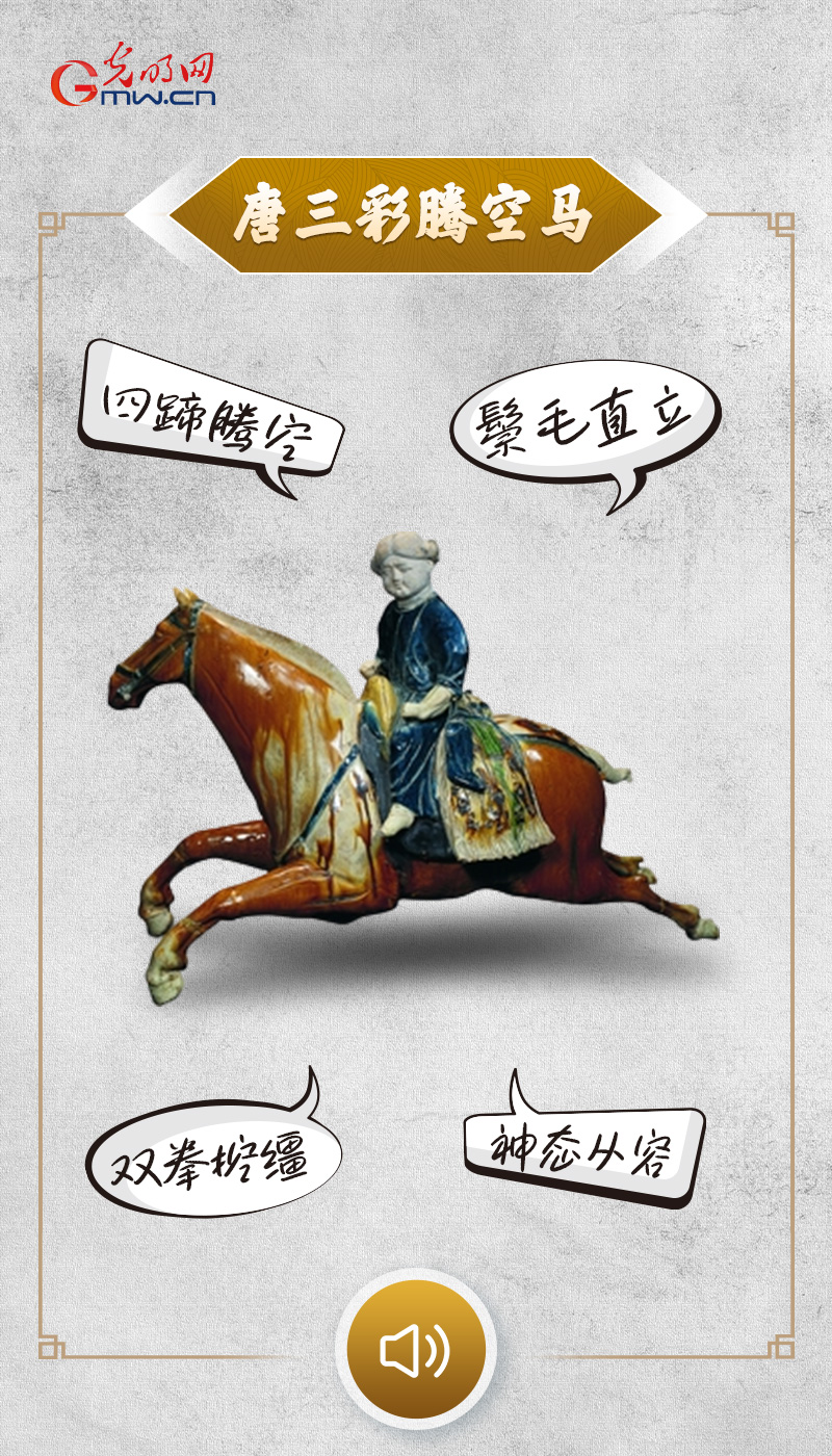 �������˵���������������������пա������������Ⲩ������ֵ����������