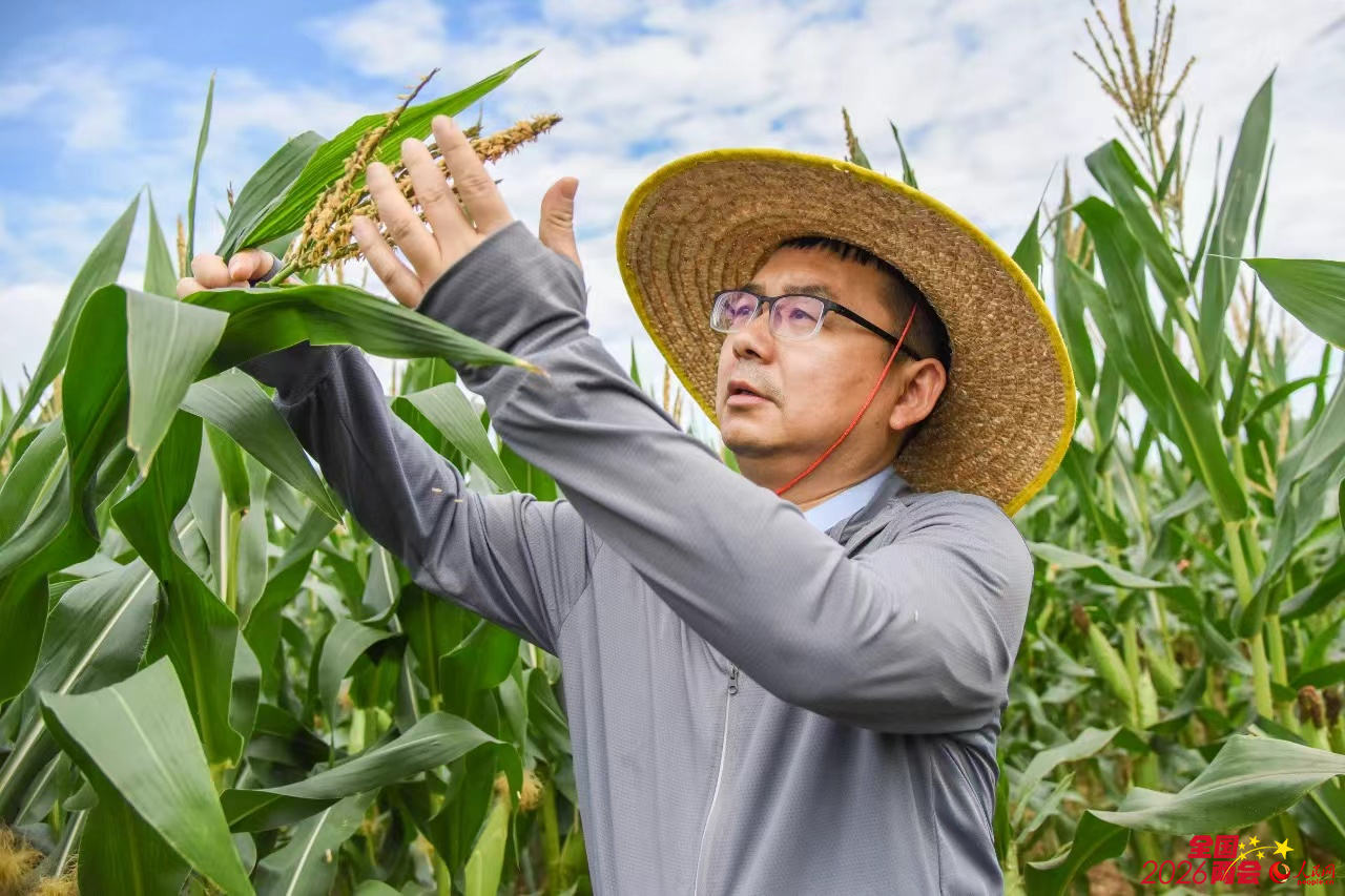 �Ͻ����ں����Ϸ����ع۲����׻��ۡ���������