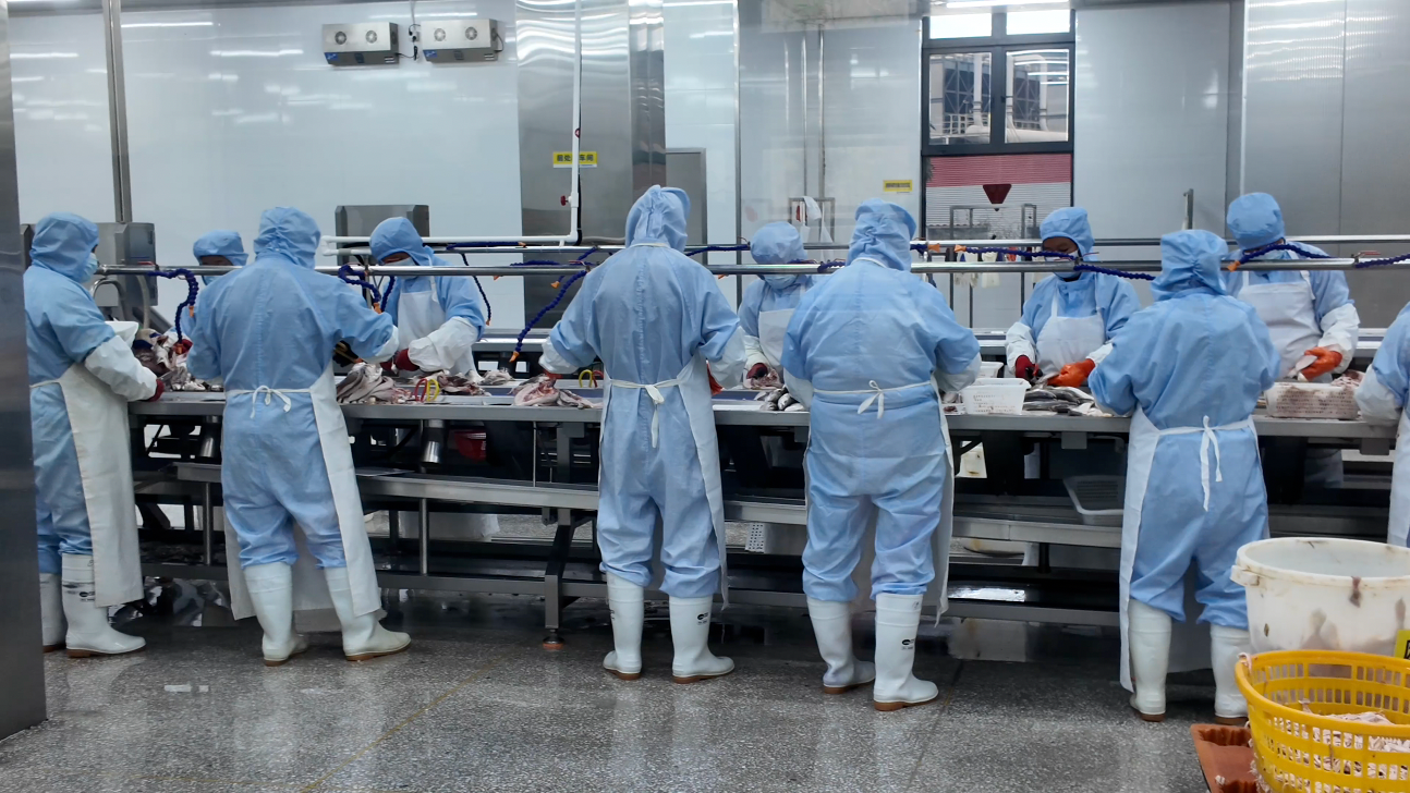 ��������׻��壺һ�������ľ���֮��