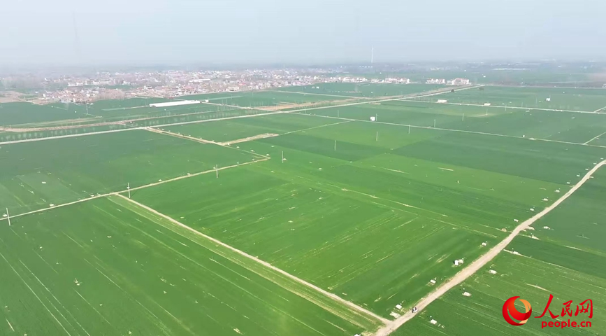 ��ԭ��Ұ�����������νڣ��������������������� ��������