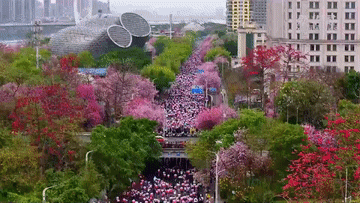 “景”上添花“体验经济”释放消费新动能(图10)