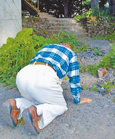 1984�꺣һú���ֱ�Ψһ�Ҵ�������³����Ϊ�������������ѡ�