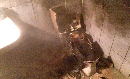 蟑螂先打死再烧毁,尸体丢进马桶瞬间爆炸 蟑螂先打死再烧毁,尸体丢进马桶瞬间爆炸