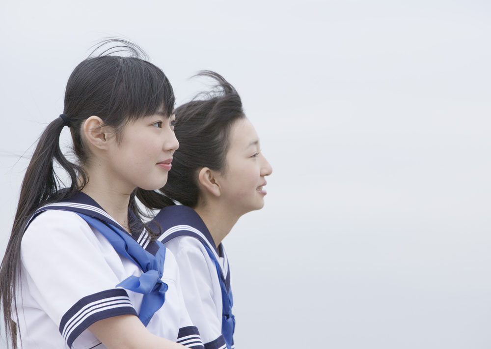 清秀佳人 清秀佳人