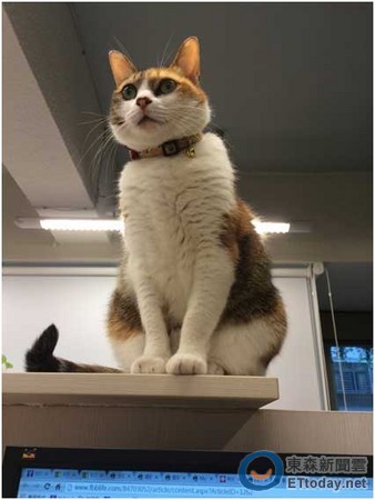 Ա��������һ���칫���������������簲�����Ķ���ů��