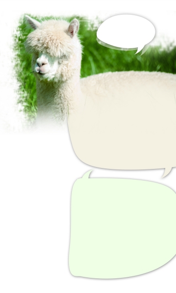 网络潮语影响 小学生说草泥马 老师批讲脏话