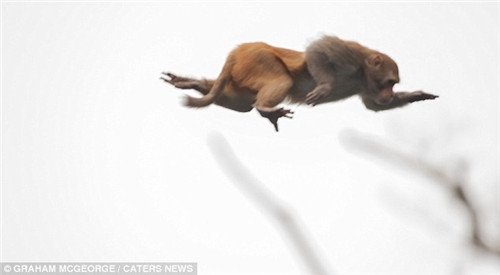 ĸ�ﱳ��С��Ϊ������� �߿���ˮ���ζɺ�(ͼ)