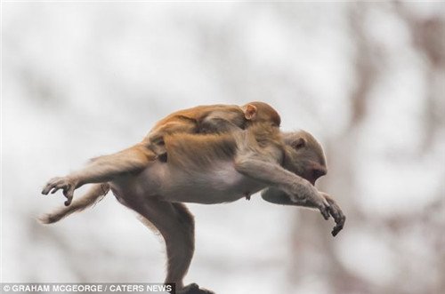 ĸ�ﱳ��С��Ϊ������� �߿���ˮ���ζɺ�(ͼ)