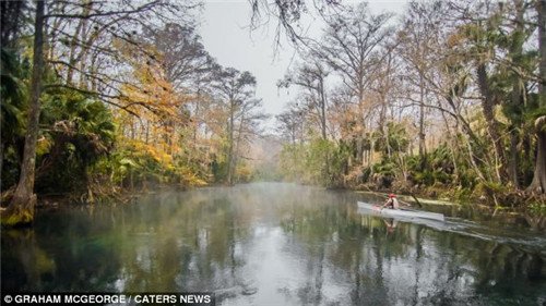 ����������11���ﳤ��������ɭ�ַֿ���