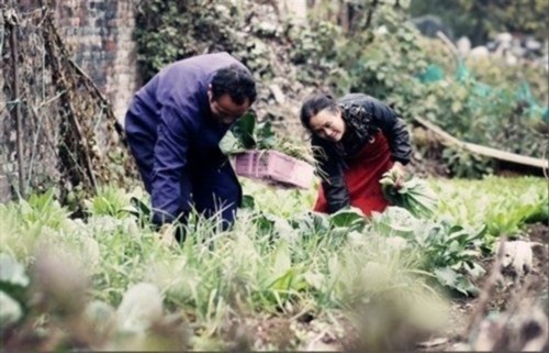 ��������˵����������ɣ����������ϣ�����ر��Ǻ����ǳ�����ˣ����Լ����˸��õĳ�·���ǿ����ռ�һ��һ����ƿ�ӣ�������������ɴ�ѧѧҵ������һ�����ǲ�ʿ������ѧ�¹������������Լ����ٵĲ˵��