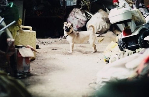 ���ɵ�С���Ƿ�������ʵ�ġ����¡���