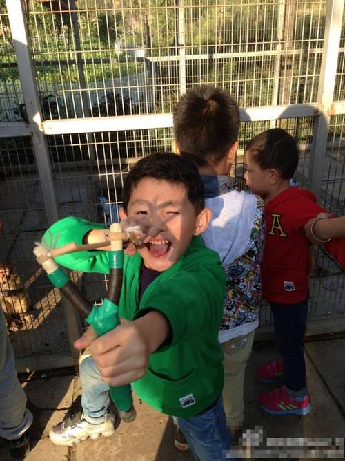 ���ڶ���