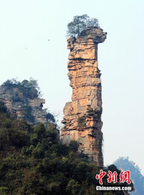 ���ޡ�֩���ˡ������żҽ硰�������塱