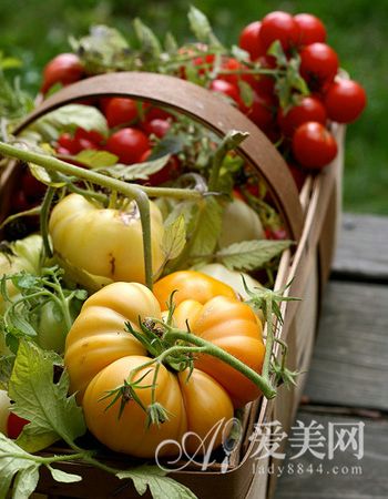  �����߹�TOP10 �Ŷ����� ����Ů�����ر�