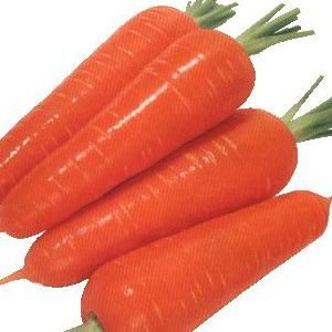 ��������:30������ʳ�￹˥�� �Գ�������