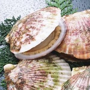 ��������:30������ʳ�￹˥�� �Գ�������