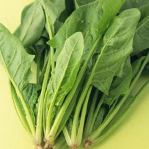 ��������:30������ʳ�￹˥�� �Գ�������