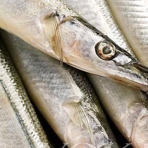 ��������:30������ʳ�￹˥�� �Գ�������